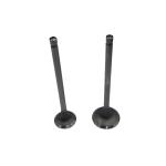 Auto Parts 16V Engine Intake And Exhaust Valves For Peugeot 2008 206 207 307 308