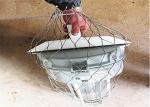 7x19 Wire Rope Mesh Ss316 Loading 30kg Weight