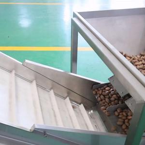 Wholesale 380V 8 Exits Pecan Nuts Sorting Machine CE Approved 2 Tons Capacity from china suppliers