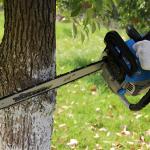 2 Stroke 58CC Chainsaw Gasoline Petrol Power Wood Cutting
