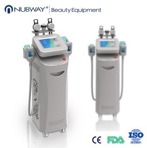 Wholesale Cryolipolysis Machines For Slimming/Cryolipolysis Laser Slimming from china suppliers