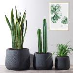 MGO Pot Planters Clay Pots Indoor Planters Resin Plant Pots Cement Pot Planter