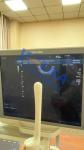 Canon Toshiba Aplio 300 Endocavitary OB/GYN Abdomen Ultrasound Probe PVT-781VT
