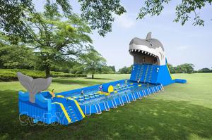 Wholesale Amusement Water Park 0.9mm Plato Inflatable Shark Slide from china suppliers