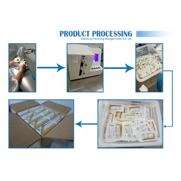 EO Gas Absorbable Surgical Sutures Disposable Medical Instruments