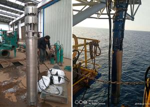 Wholesale Sea Water Deep Well Submersible Pump 75kw 100hp SS316L Material 60m Head from china suppliers
