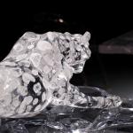 Clear Acrylic Ornaments Decoration Artwork PMMA No Assembly