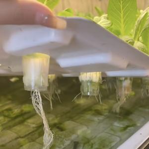 Wholesale Roofing Shape Shaped Roof Hydroponic Shipping Container Greenhouse for Vegetables from china suppliers