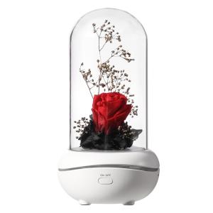 Wholesale Real Flower ultrasonic essential oil humidifier aromatherapy diffuser with usb GK-E-X005 from china suppliers
