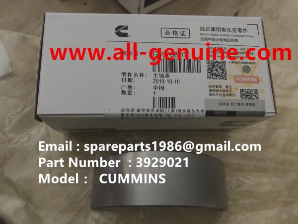 3929021 MAIN BEARING CUMMINS ENGINE TEREX NHL DUMP TRUCK TR35 TR50 TR60 TR100