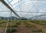 Greenhouse Round ERW Steel Pipe , Hot Dip Galvanized Steel Pipe Good Reliability