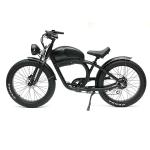 Long Range 48V 750W Rear Hub Motor Electric Motorbike with 48V 20Ah Lithium