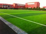 Field / Olive Green Playground Artificial Turf False Grass Lawns Anti-UV