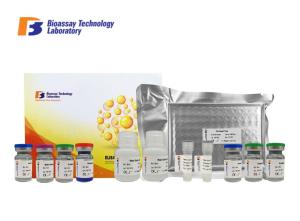 Wholesale Strong Sensitivity ASB2 Sandwich ELISA Kit 96 Wells / 48 Wells For Research 2 - 8°C Storage from china suppliers