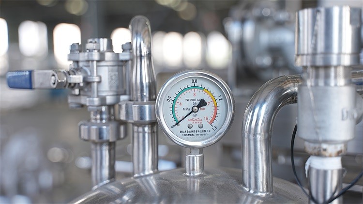 Stainless Steel Mango Processing Line with Customizable Features