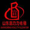 China Shandong Vitality Commerce Co., ltd. logo