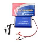 12V 24V 12A Motorcycle Lead Acid Battery Charger for Electric Tricycle Smart