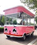 First Class Electric Street Ice Cream Catering Cart for Travel Camping and Cold