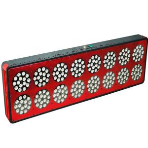 Wholesale Cidly led de cultivo led grow lights 600 watt For tomatoes Plants used With High quality from china suppliers