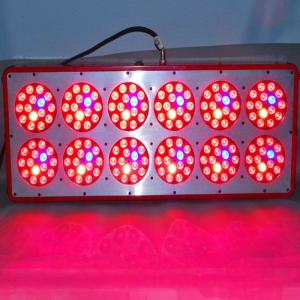 Wholesale hot sale 404-430w apollo 12 spectrum led grow lights for greenhouse/hydroponic/tomato use from china suppliers