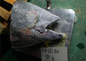 Wholesale Under 18 Degree Sea Fresh Yellow Fin Tuna Fish Head from china suppliers
