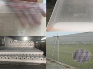 China 115gsm Agriculture Insect Net UV Protection 4m Plastic Insect Net 50x25 Mesh on sale