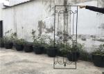 15.5*39.37 Iron Door With Glass , Square Steel Doors With Wrought Iron And Glass