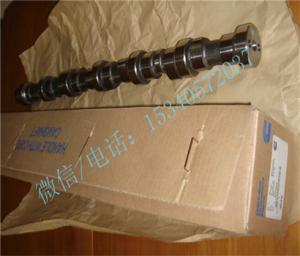 Wholesale Apply to Cummins Engineering machinery engine 3042568 CAMSHAFT very cheap from china suppliers