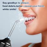 Mouth Jet Teeth Cleaning Professional Portable 400mL Pik Dental Irrigator Oral