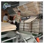22.0 kW Power Sheet Metal Drying Equipment for Multi-layer Drying of Veneer Wood