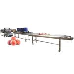 Hot selling Factory Direct Price Vegetable Washing And Peeling Machine by