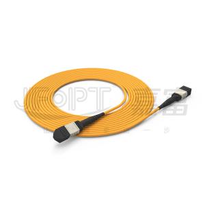 Wholesale 850nm Multimode Low Loss Ferrule MPO Trunk Cable Multi-core Fiber Optic Patch Cord from china suppliers
