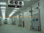 COLDROOM19 Industrial Deep Freezer Cold Storage with Solar Panel Energy Powder