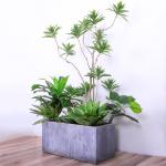 Natural Wood Artificial Landscape Trees Lily Bamaboo For Home Decor Evergreen No