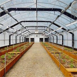 Wholesale 8x16m Agricultural Blackout Transmission Hothouse Automatic High Tunnel Greenhouse from china suppliers