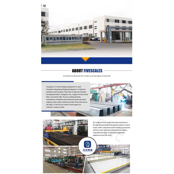 1000kg LCD Display Digital Load Cell Weight Function 5 Ton Industrial Electric Floor Scale