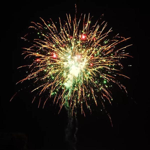 Custom 200 Shots 1000G Cake Fireworks 1.4 Pro Cake Pyrotechnic For US Market