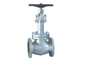 Wholesale Cryogenic Globe Valve OS Y BB Extend Rising Stem Conical Plug Type Disc from china suppliers