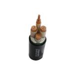 Low Voltage Copper Conductor XLPE Insulated Power Cable with 3 2 Cores and PVC