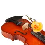 china violin factory Twenty internationally renowned female violinists All