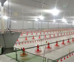 Wholesale Easy Cleaning Slatted Floor Broiler House Plastic Slate Floor For Poultry Farm from china suppliers