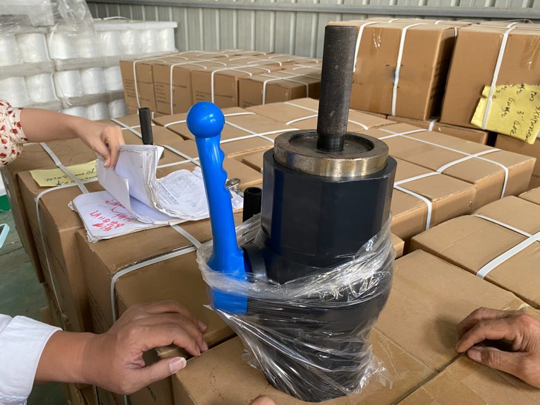 Black PVC Body Octagonal DIN Socket/NPT Thread Ball Valve with Blue Long Handle
