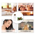 CAS 68917 75 9 Herbal Essential Oils Methyl Salicylate Holly Essential Oil