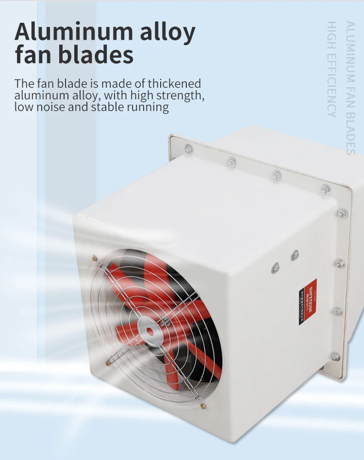 Wall Fan Mounting Axial Flow Ventilation Exhaust Fan with High Powered External Side