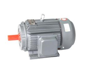 Wholesale High Efficiency Electric Motor , YX3 Series Three Phase Asynchronous Motor from china suppliers