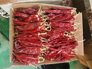 Wholesale Medium Sweet Paprika Pepper Garnish with Adjustable Seeds Ratio Elevate Your Cooking from china suppliers