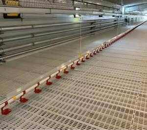 Wholesale Broiler Farm Plastic Slatted Dung Leaking Board Poultry Slat Floor For Chicken Chick Duck Goose from china suppliers