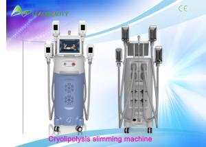 Wholesale Professional Cryolipolysis Slimming Machine 60Hz Safety Cellulite Removal Device from china suppliers