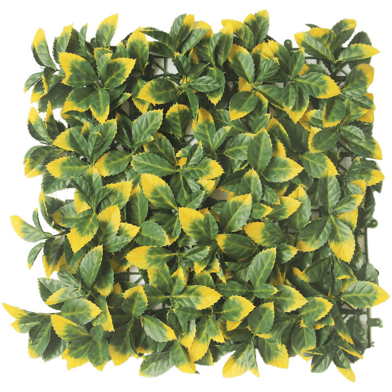 Customized Plastic Plant Artificial Green Walls Enviromental Friendly
