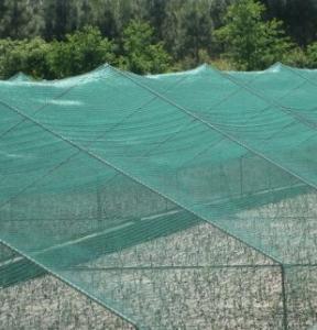 China Greenhouse Anti Insect Netting 1m-4m Green Abrasion Resistance on sale